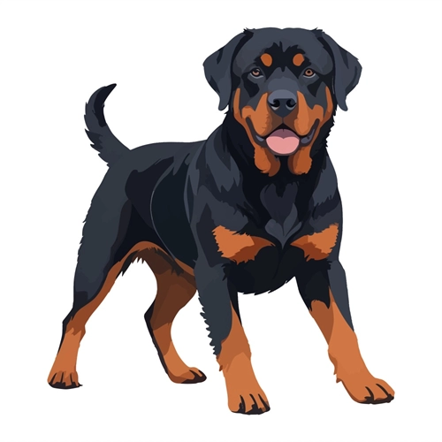 Dog Lovers Theme Rottweiler Dog Transparent Sticker